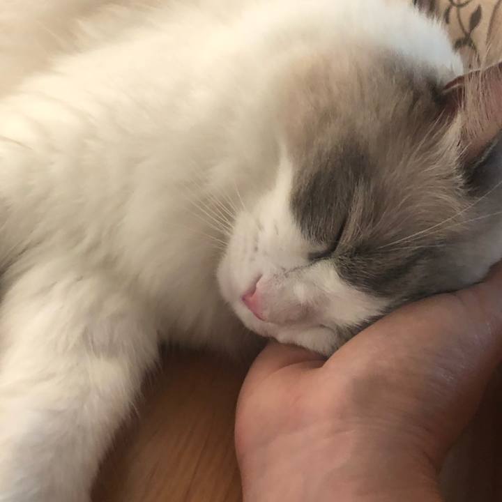 4c2d8a83 00b3 4259 8197 22827dafa04d 1564369546613