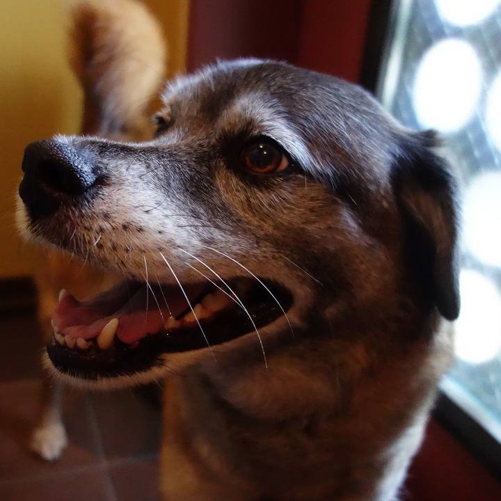 4c2d9492 f80c 4e72 bf88 f29ce40b688b 1523151106925