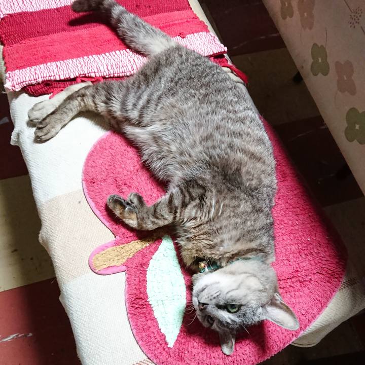 4c2df71f 4def 4a3b a572 6ba85a36e296 1564396302325