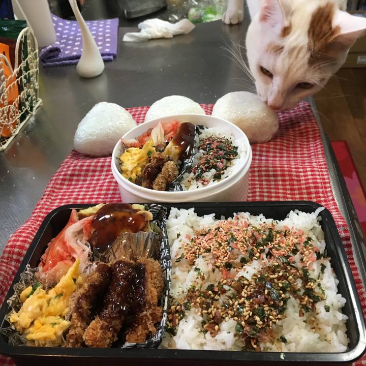 4c2e0266 eb02 48d4 950a e25e85c2739f 1517366366831