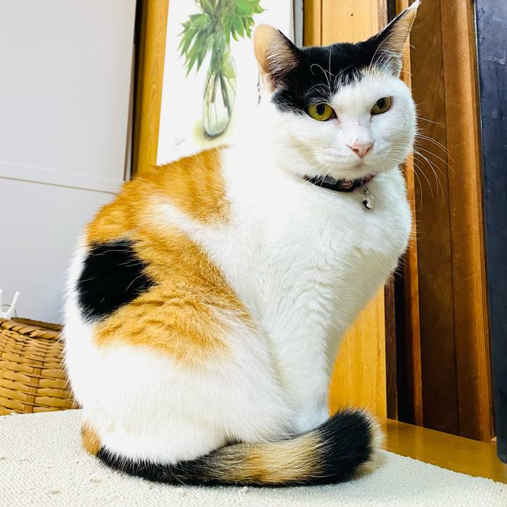 4c2e03c4 cdb0 4619 9c8e 9359dca3a5a4 1673992206209