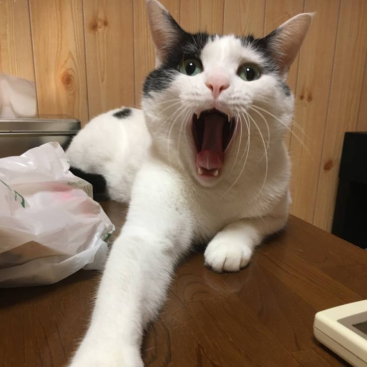 4c2e3034 8b96 43df 8d6c 30c1be525a07 1532523894259