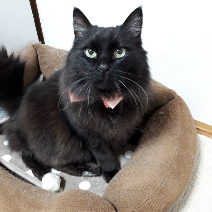 4c2e3a25 3ea0 493b bfcb 665a728d0571 1521145544348