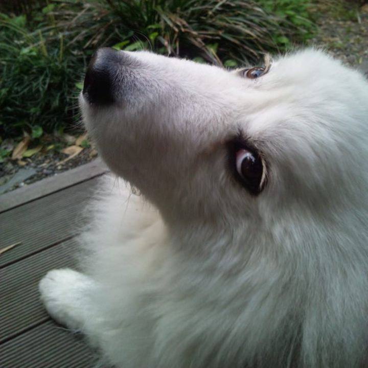 4c2e54d4 da51 4f36 b78b 4d21a1ca7d13 1681286222352