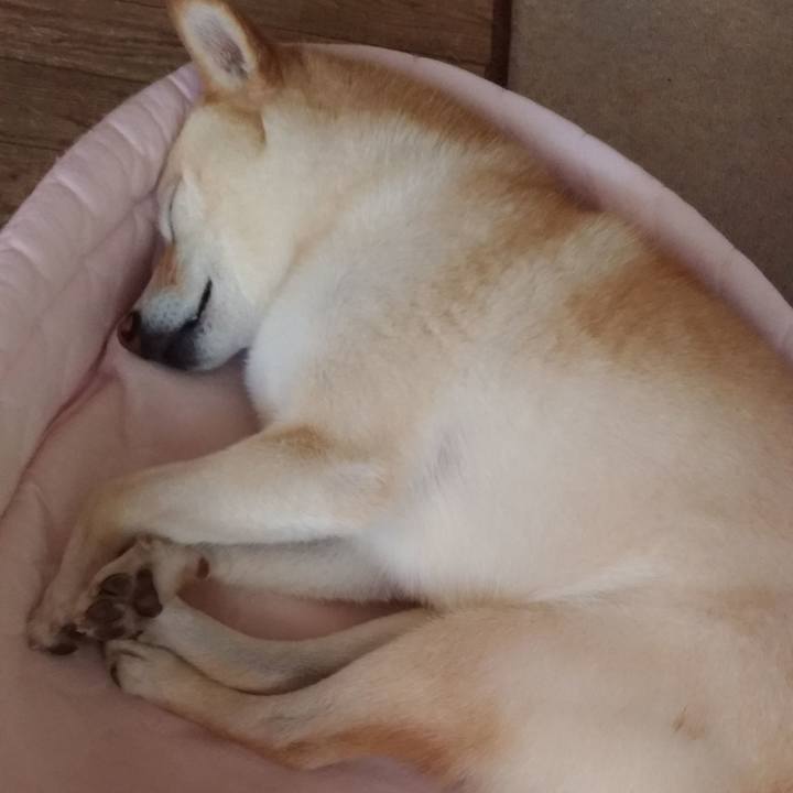 4c2e5964 8da5 4718 b3b5 77ffc218cb18 1597840706017