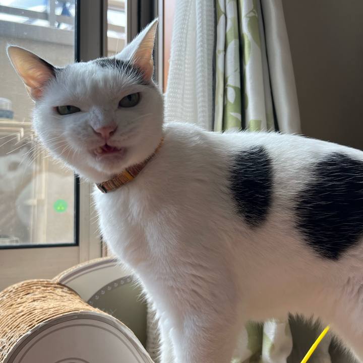 4c2e6ad4 058a 4c86 9362 deaa626ba1ee 1689632634444