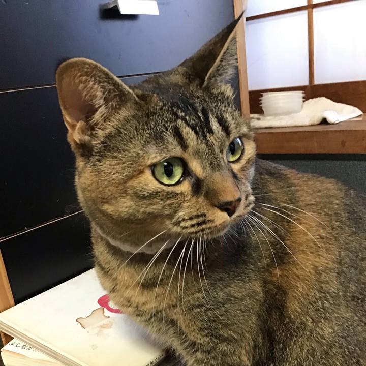 4c2e7056 8e84 45db b417 6ffd196416e0 1727346604137