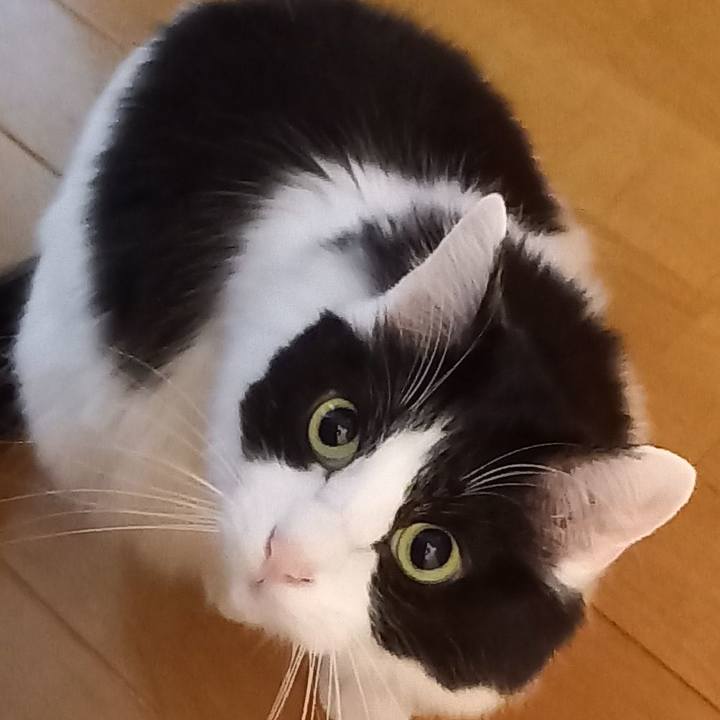 4c2e746c 1d6f 4c08 bcab 1b3ac976651d 1646432694669