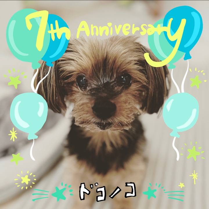 4c2ea9f5 f952 47ed a614 c526e050c1d5 1685956154997