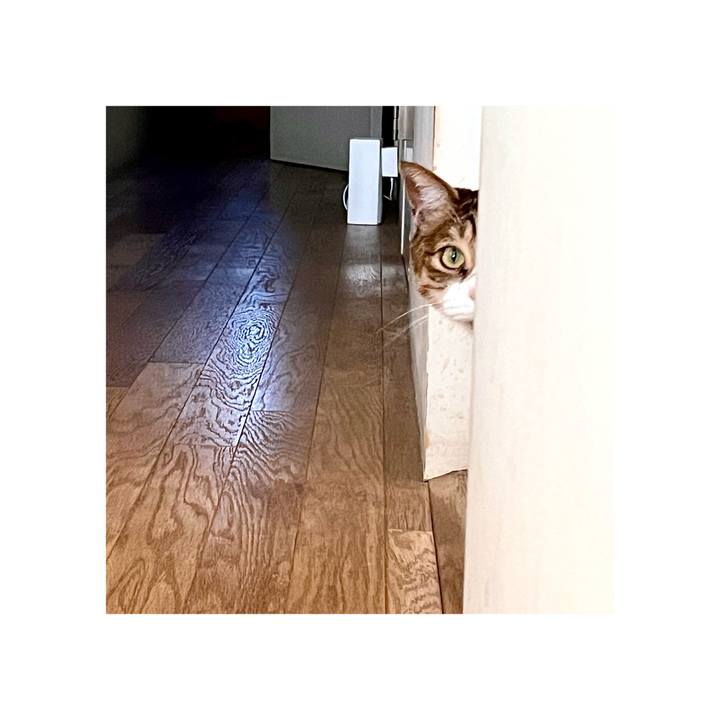 4c2eabca a45d 4765 b1fb 6879cc6d03f9 1671609243885