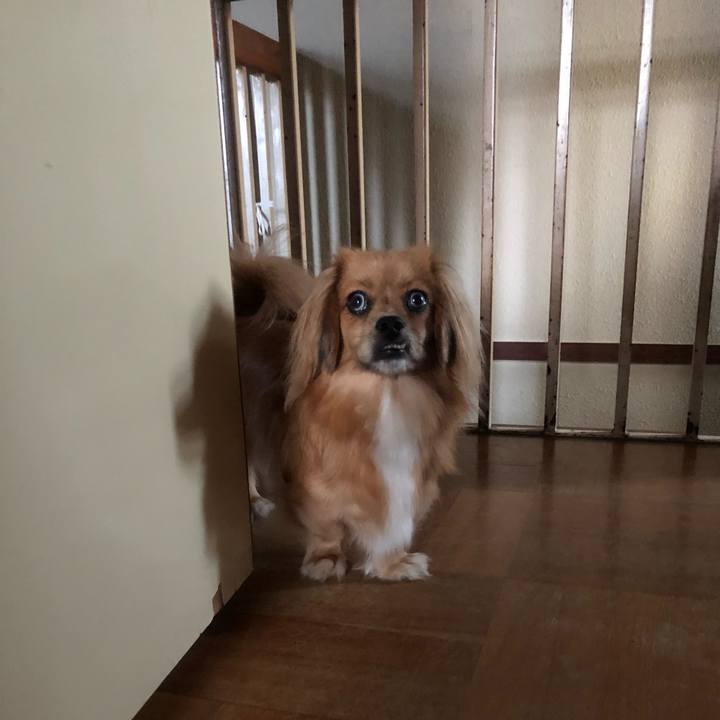 4c2eb1a6 699c 42ec b8fe 058e49216d48 1533936621114