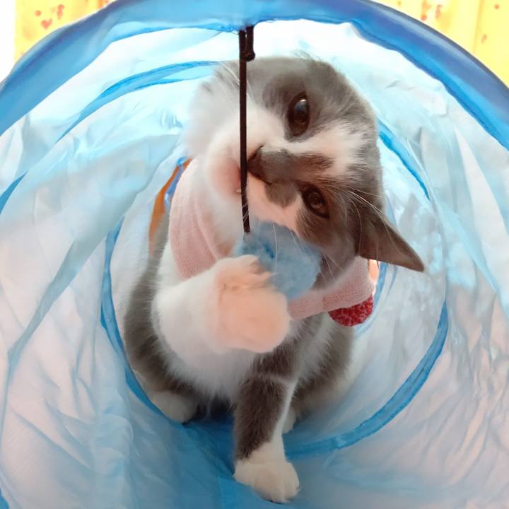 4c2ecdc4 eee2 4666 b56d 9bc0fc9e5e47 1573882164115