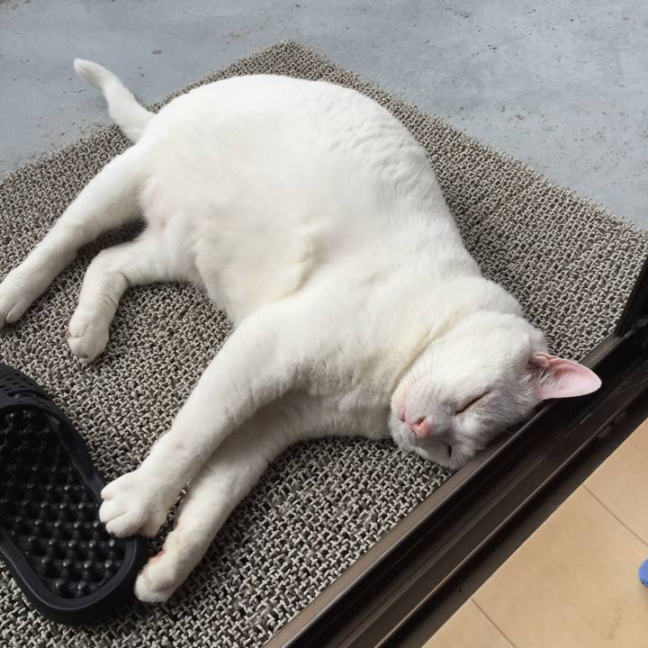 4c2ed165 31aa 4345 adfc 486ee4b3ccaa 1561246830836