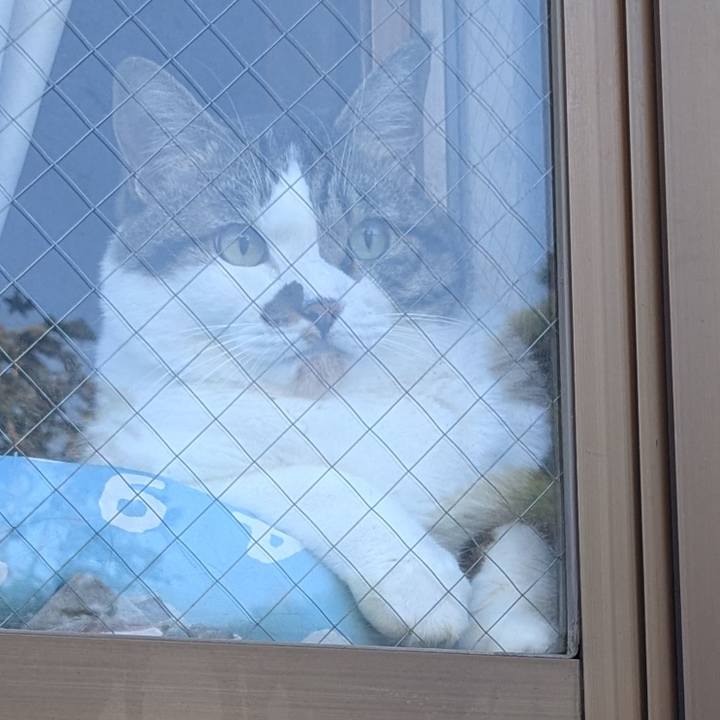 4c2ef9e8 38d3 4b9f 9f4c 77cee3950693 1755555759513