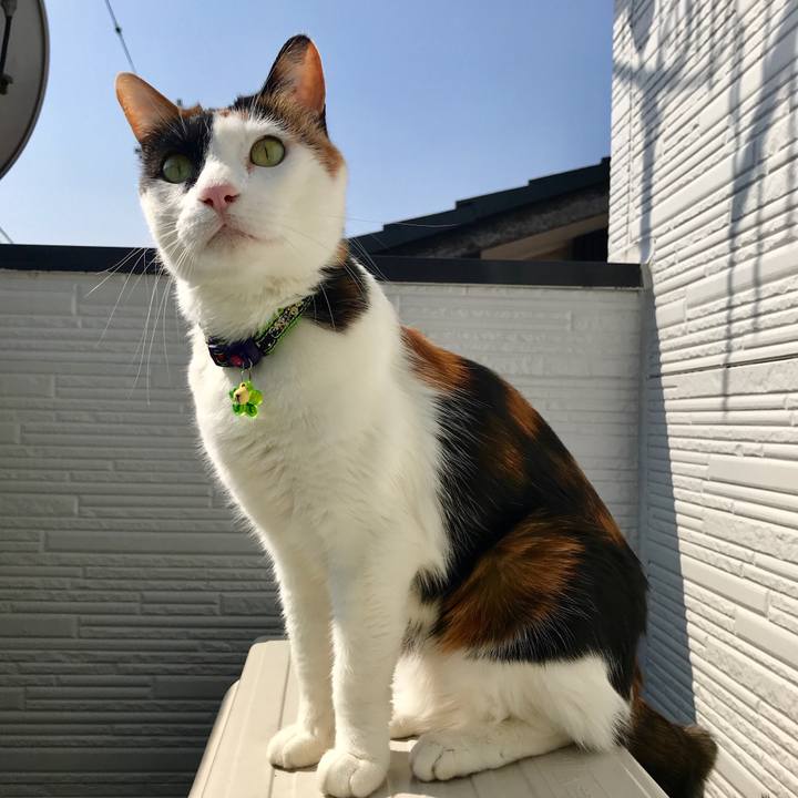 4c2f4e26 e47d 4b58 8dfb a58acc118e6a 1519620258844