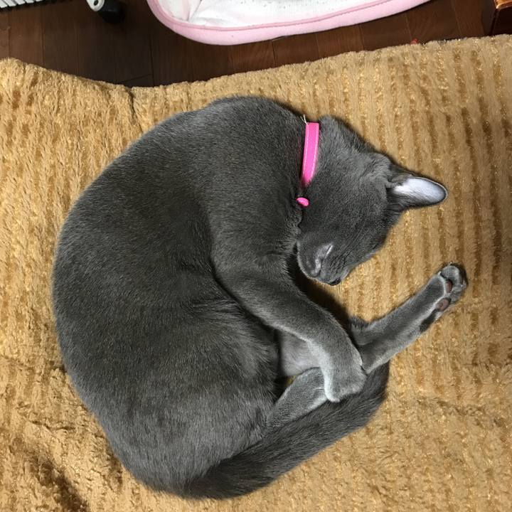 4c2f821f 0a36 454b a7fa dafdc5a54495 1520434433572