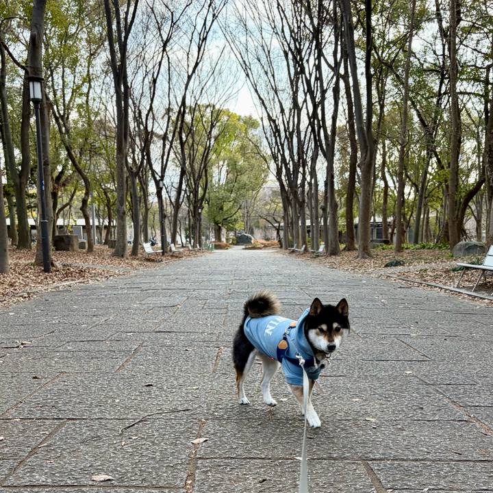 4c2fb1cb c362 4583 b4a6 73924816c4f0 1770517148469