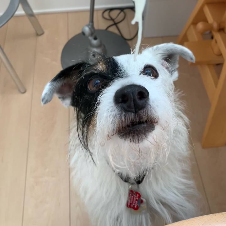 4c2fba09 9f8f 450f aca1 69f18f93d080 1688958583336