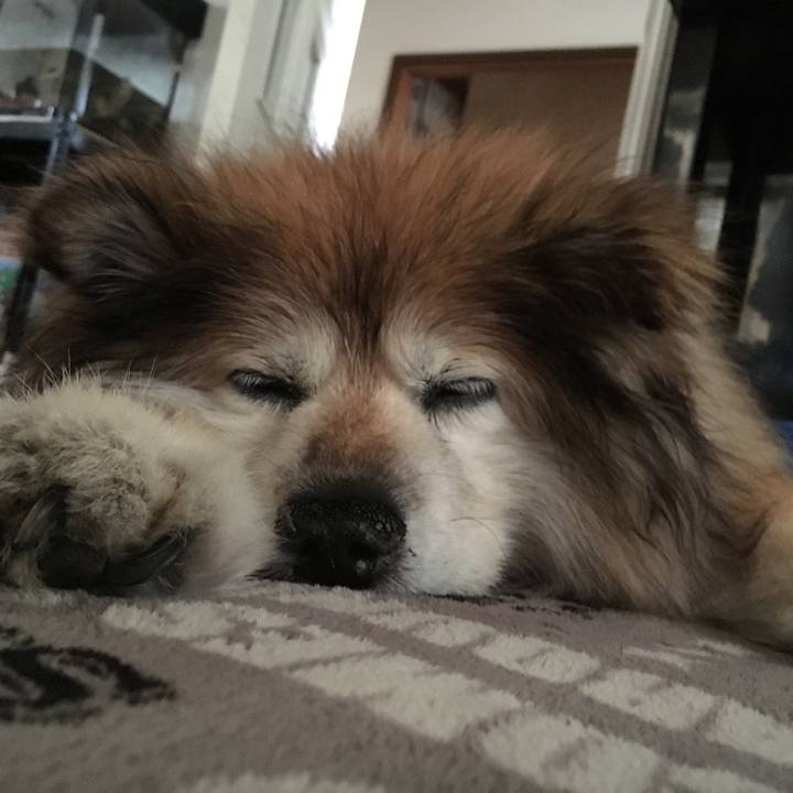 4c2fbff7 2626 4edf 8662 c300b17cf1a3 1565478715734