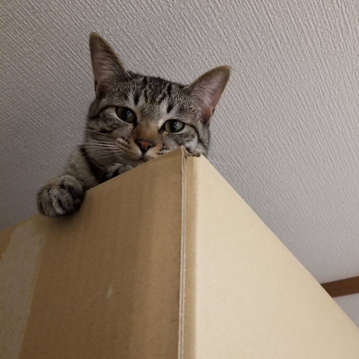 4c2fc8b6 e634 44cd 8183 f7c4055a2ee1 1674209720796