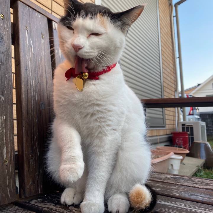 4c2fcb10 dd89 452a 8eec 3b72aba2a8d5 1638704397712