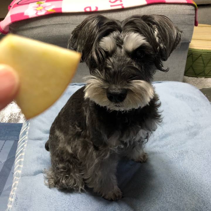 4c2fd10b 496a 400c b546 7f65bb818a43 1698842097795