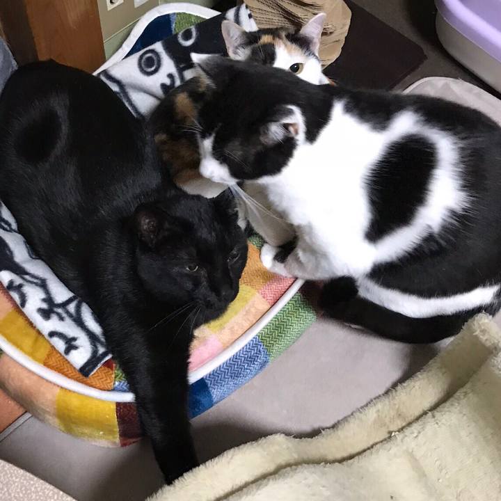 4c2fd815 04ef 4635 b097 bd82ca76df0b 1510276438187