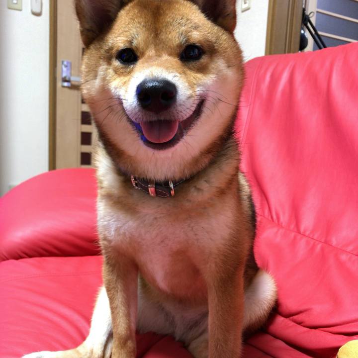 4c2fe06c 008a 4ab3 aaff a68dfb9dc134 1525989449688