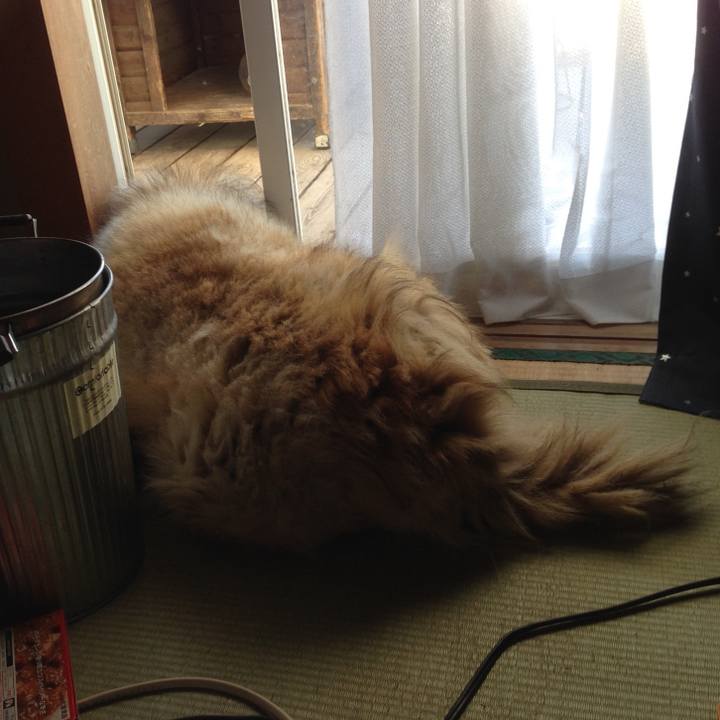 4c2ff3d7 b16a 460f 8320 5d79d2e2e2c6 1621234430604