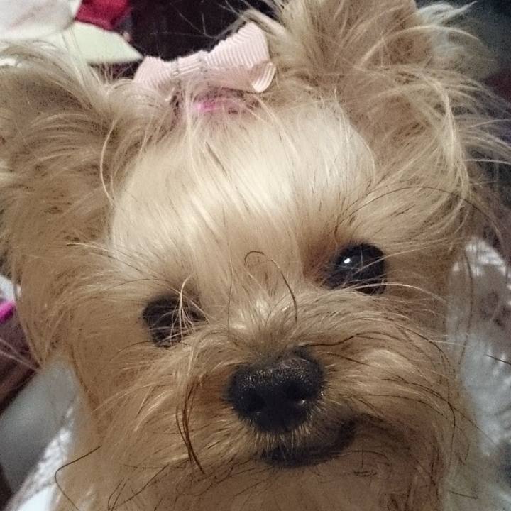 4c2ffbe6 333c 4580 a5e2 789815fd39fb 1556334053977