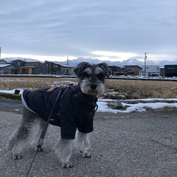 4c30ca84 a601 4dd6 8378 9ab786c1d78d 1641429089427