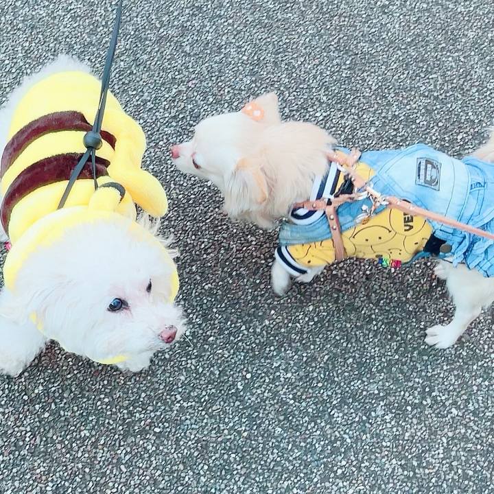 4c312549 1afa 47b9 8544 488a13c16a2d 1704451085407