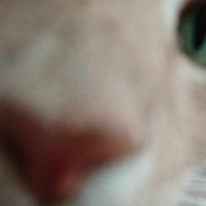 4c318612 352d 49a4 b8f7 3b32848b0039 1554080638872