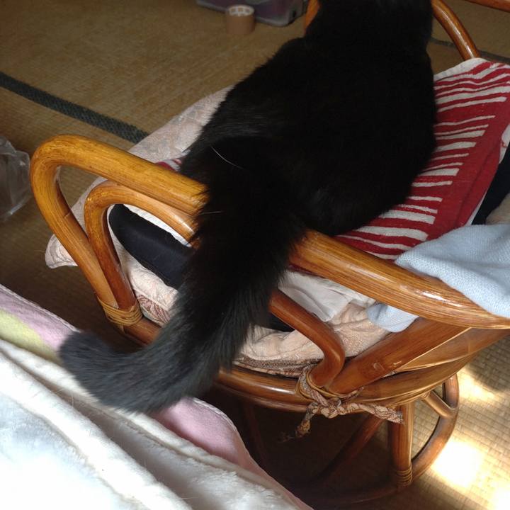 4c31b9f7 956a 4680 a943 598a54340047 1758081687014