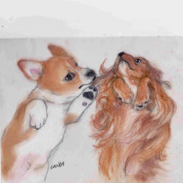 4c31bda4 f59a 4965 9c35 a00dd750e4bd 1591977050171