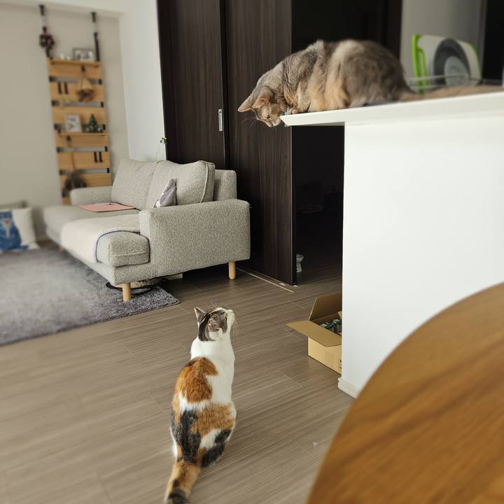 4c31c454 63d0 46e0 afe5 9608f26a7869 1762742302024