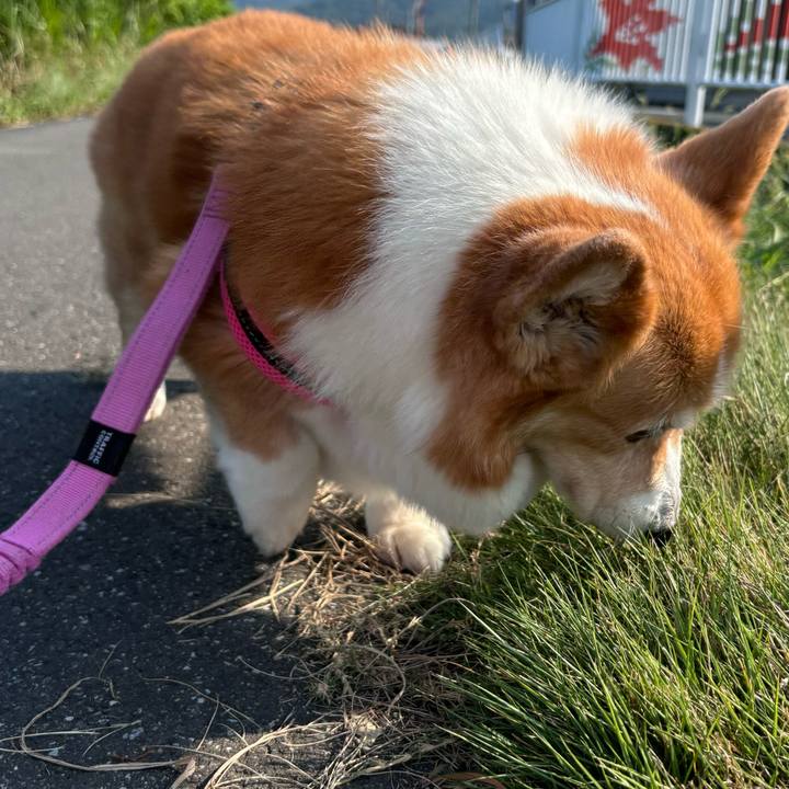 4c31e552 778d 4e14 b055 c607322329e1 1753485916901