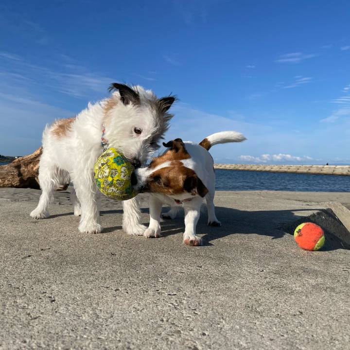 4c31f646 f300 48a5 8876 3e73a73247b0 1664413448301