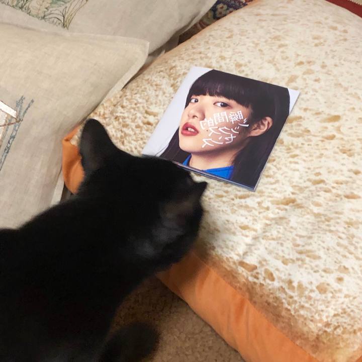 4c329a28 c532 4c88 89b0 3280c67da20e 1552213945990