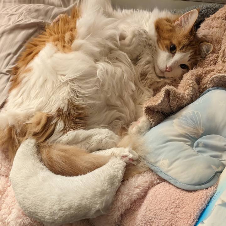 4c32bd59 4257 45c7 86db 6b88d7003489 1707925965857