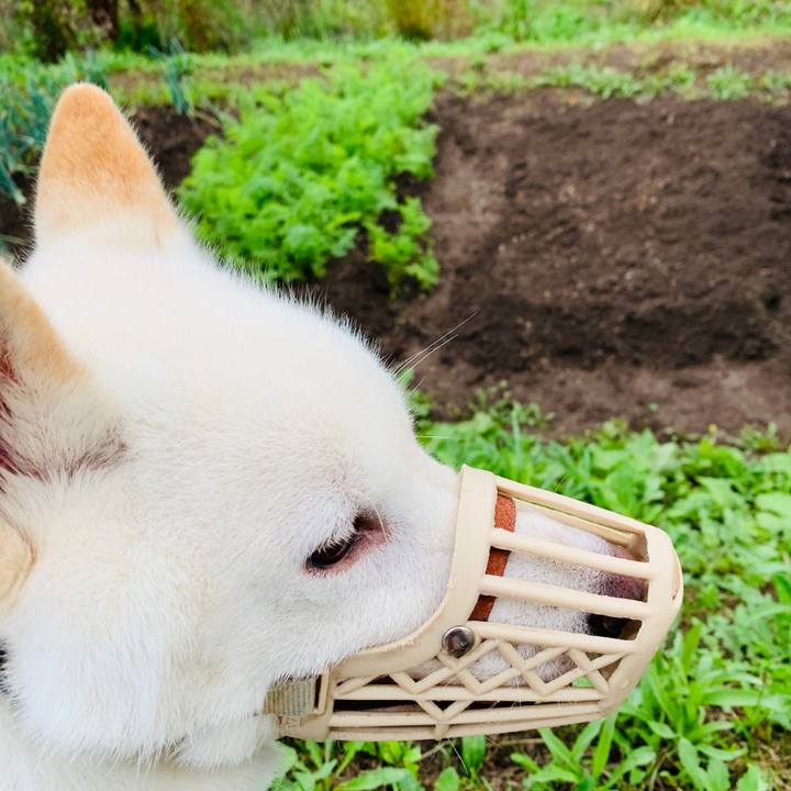 4c32ee0f 25dc 4cbe ac10 512bf351bf5a 1565472386782