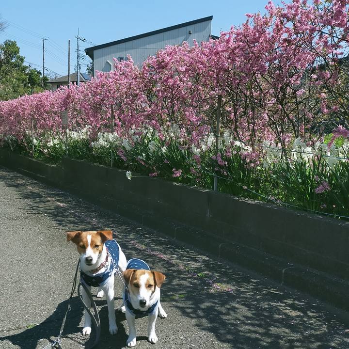 4c32f3b8 92bc 4700 87c1 42c6fba4c589 1774346735936