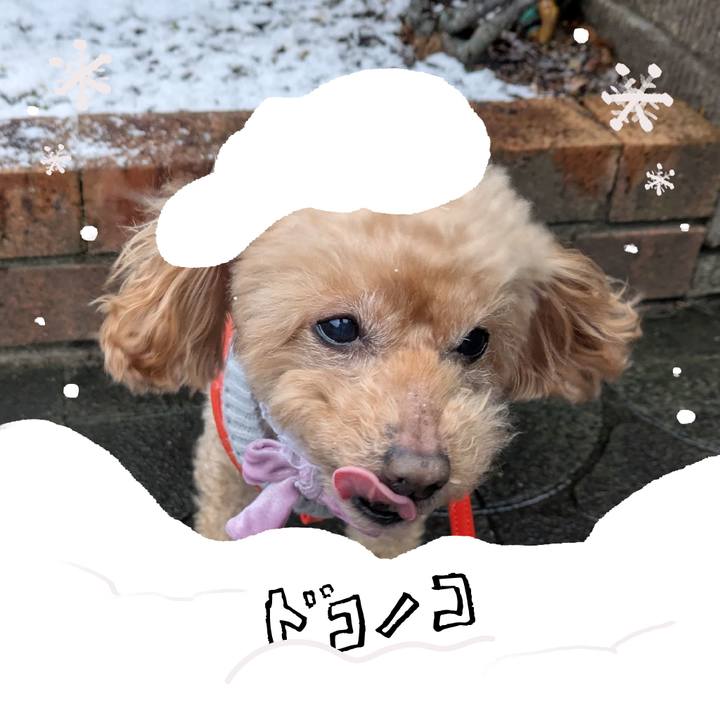 4c3309ae 6e81 46f8 8dc1 ba145fdf6f20 1772454919690