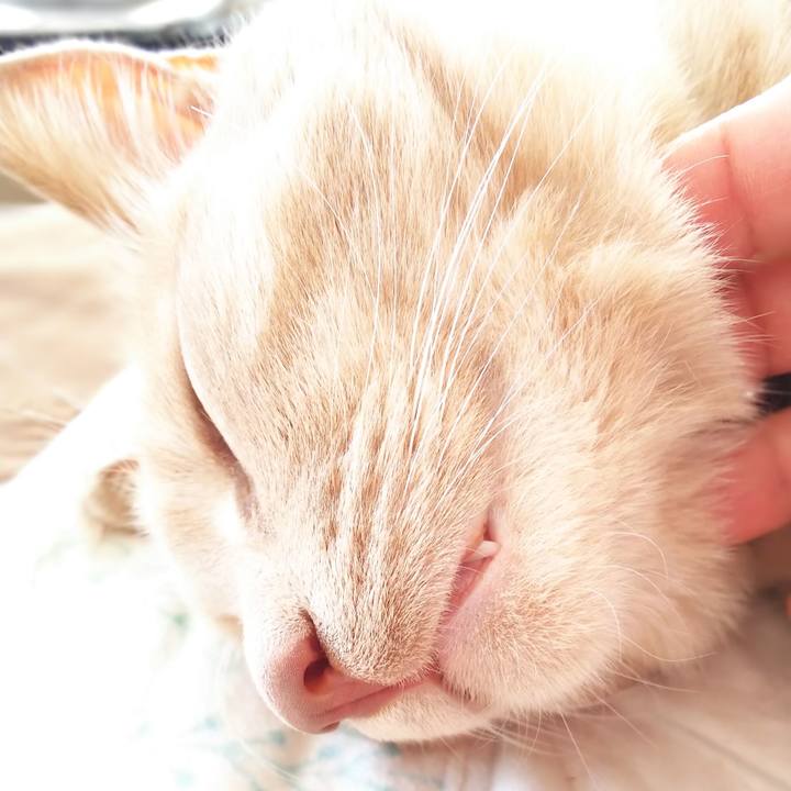 4c334a30 0d1e 4975 ab61 f5a36c041e93 1624680687652