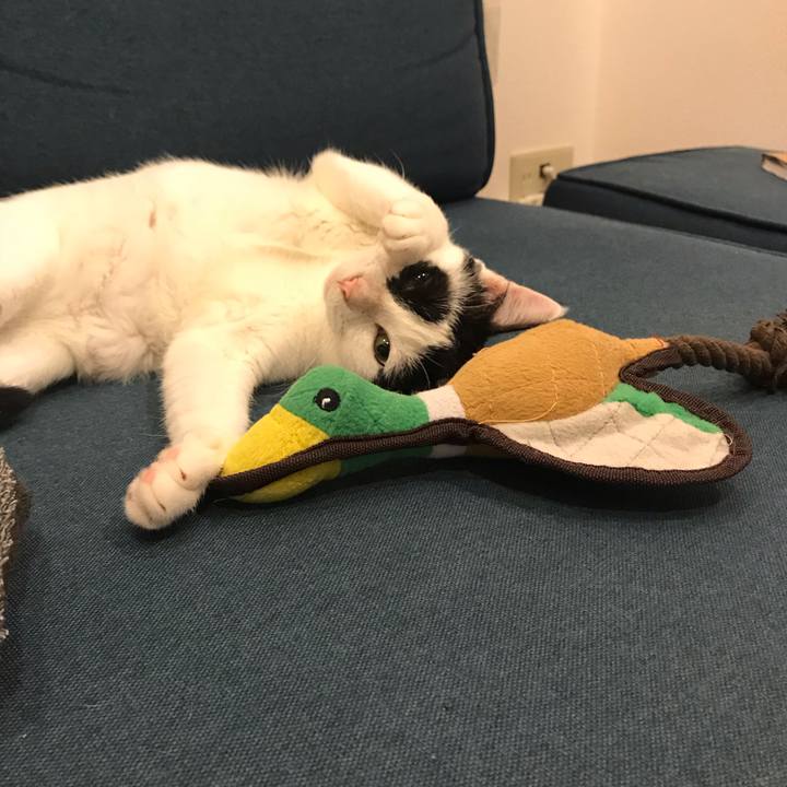 4c3359bc 9137 42e9 92fb 91f4d4050a41 1539700360252