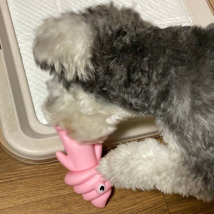 4c337a31 30a2 4e2d b4c3 b2710bf7ed12 1586441520145