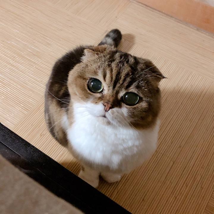 4c3382c8 8842 4c25 b71f 91805368229f 1557840764830