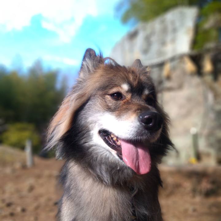 4c33856d 9d59 4f7a b8c3 9887f001f9a8 1581228670749