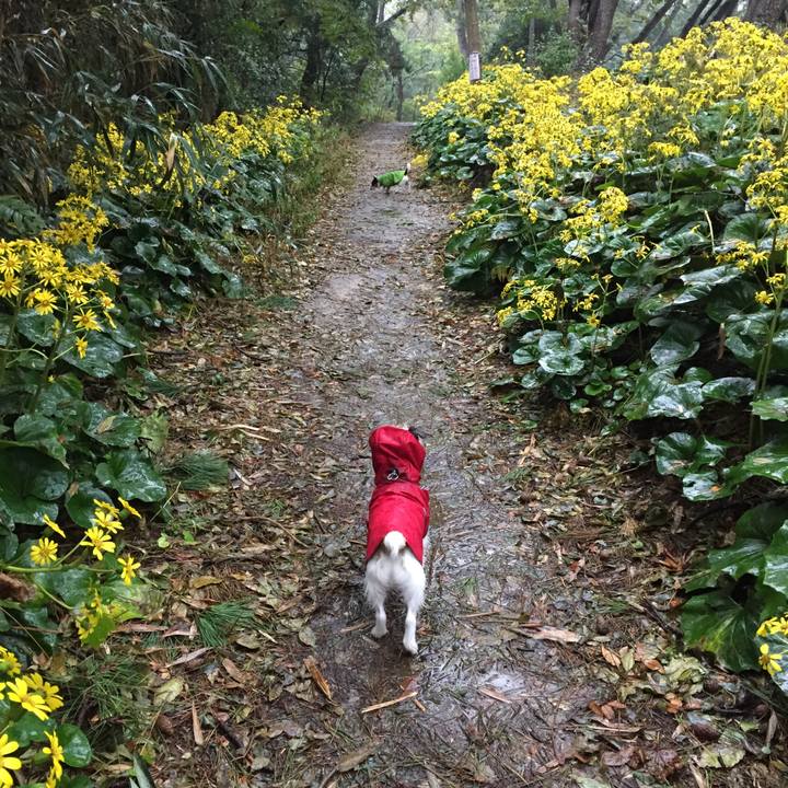 4c33a307 ddcb 4baf 872a da23dd7b8ce9 1509236195880