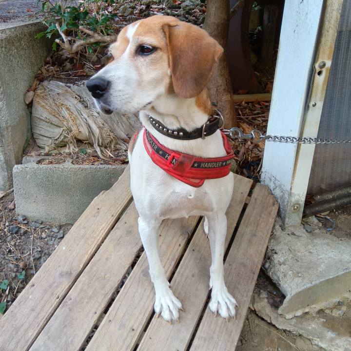 4c33b1b8 42a4 4e72 8f78 a2bbad0944a5 1729946045659